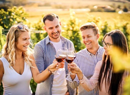 Wine & Scenic Tours