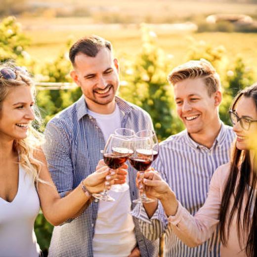 Wine & Scenic Tours