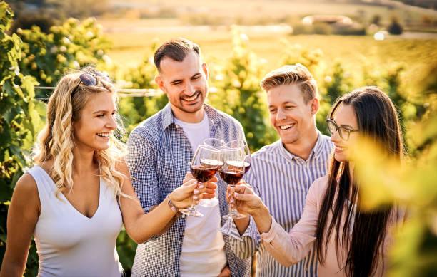 Wine & Scenic Tours